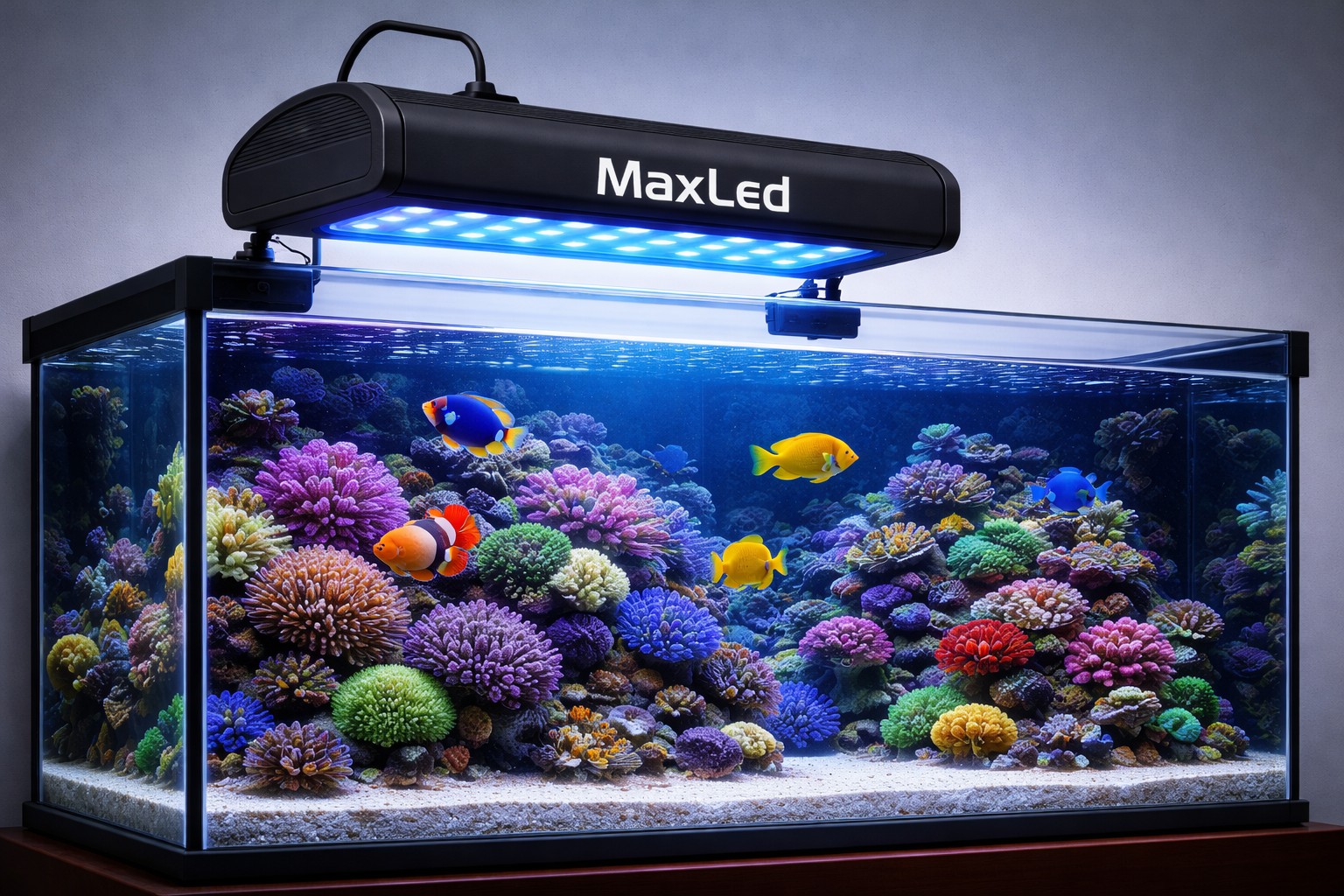 Imagem da luminária em aquário.jpg